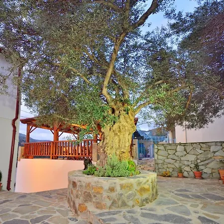 Plokamos House Plokamiana